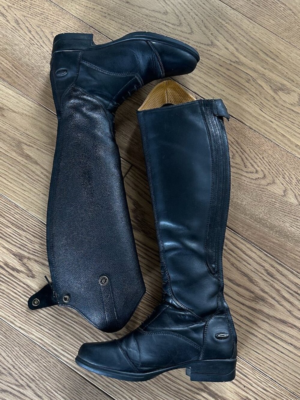 Shires Moretta Women's Gianna Leather Riding Equesstrian Boots - Black, Size 7